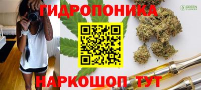 ПСИЛОЦИБИНОВЫЕ ГРИБЫ Бузулук